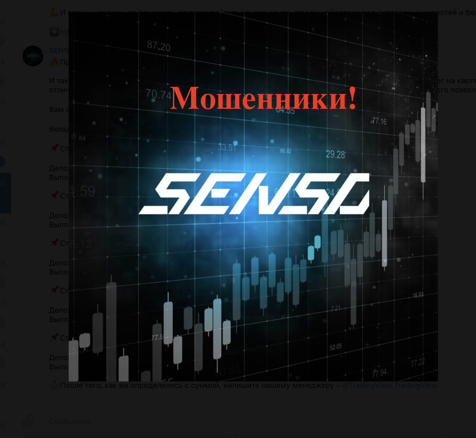 Логотип компании Senso bot